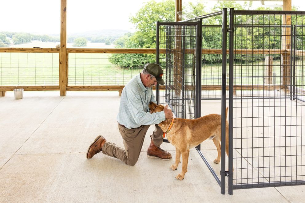 Behlen Country Gray Ruff Guard Kennel 2-Door Panel, 10-Ft x 6-Ft
