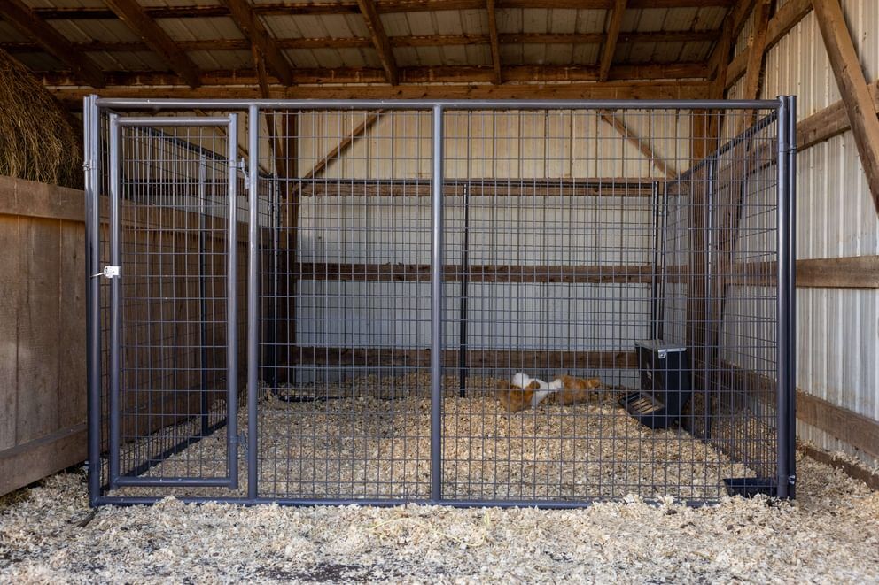 Behlen Country Gray Ruff Guard Complete Kennel, 10-Ft x 10-Ft x 6-Ft