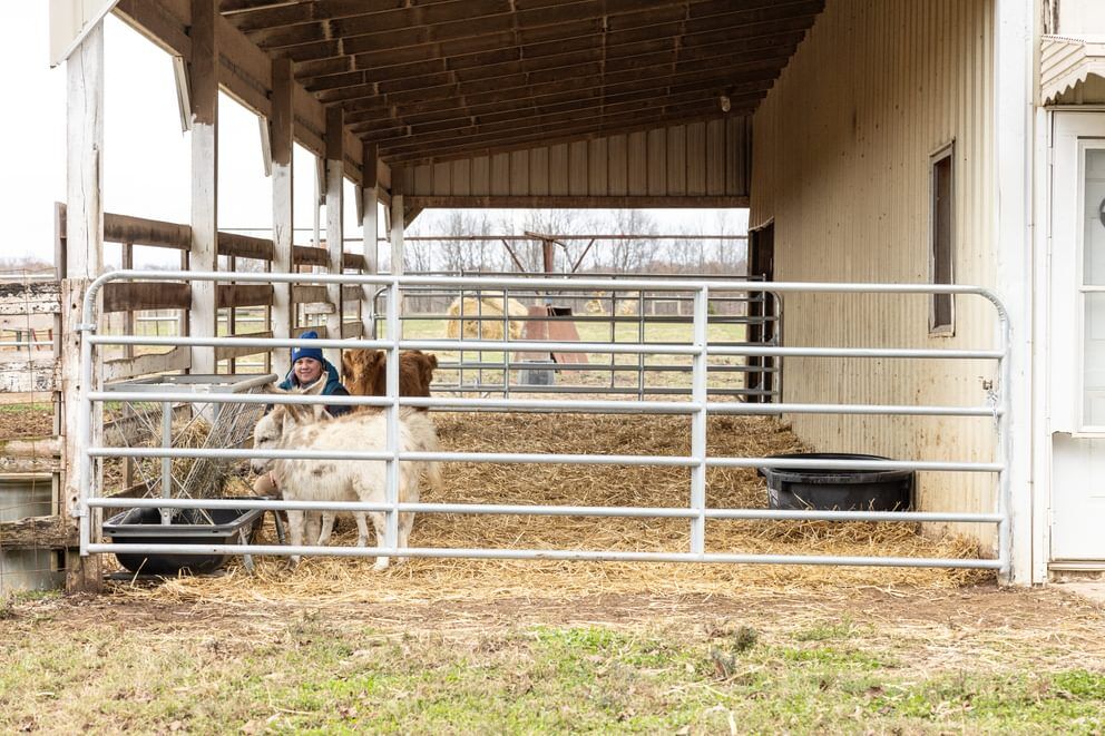 Behlen Country Gray The Heritage Round Corner Gate, 10-Ft x 50-In