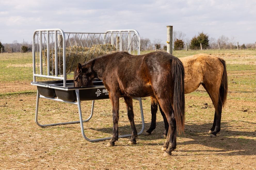 Behlen Country Black Galvanized Equine Ace Horse Feeder, 70-In x 68-In