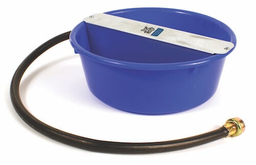 Pet Lodge Plastic Ever Full Pet Bowl - 5 qt