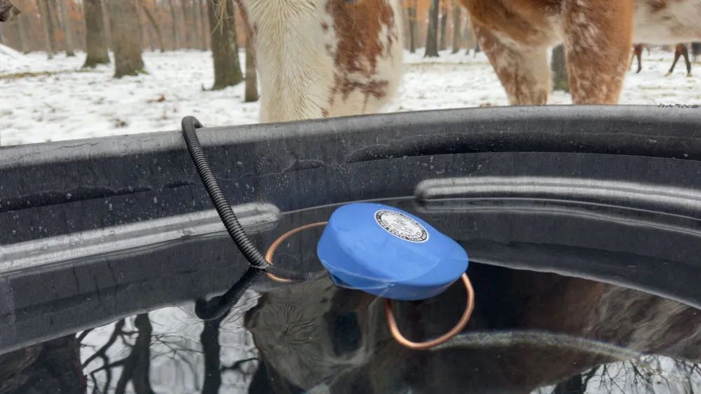 Farm Innovators Traditional Floating De-Icer, 1500-Watt