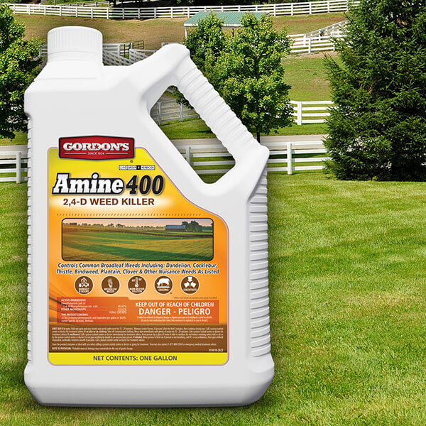 Gordon's Amine 400 2,4-D Weed Killer, 1-Gal