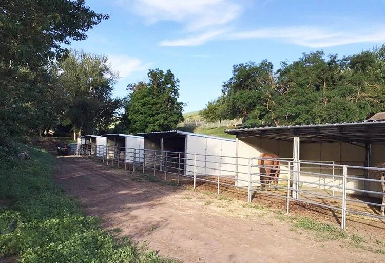 Noble Panels & Gates Loafing Shed 12-Ft x 24-Ft
