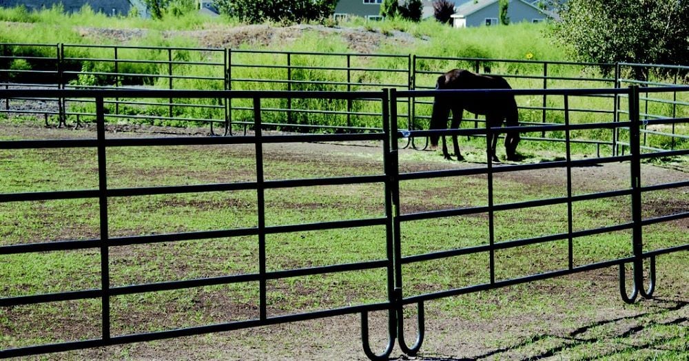 Powder River Powder Creek Panel, 16-Ft x 64-In