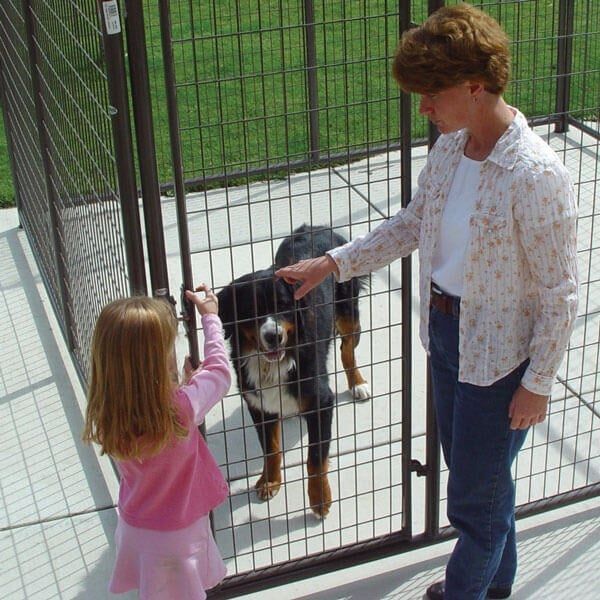 Powder River Dog Kennel Front Connector, 5-Ft x 74-In