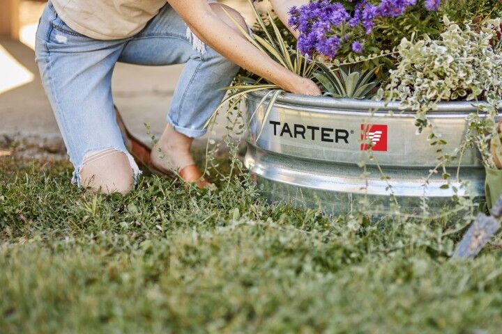 Tarter Steel Fire Ring, 3 x 1 ft.