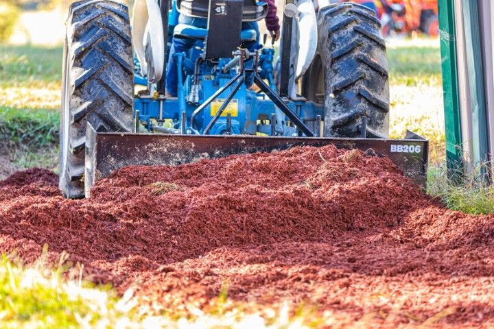 Tarter 200 Series Box Blade, 6 ft.