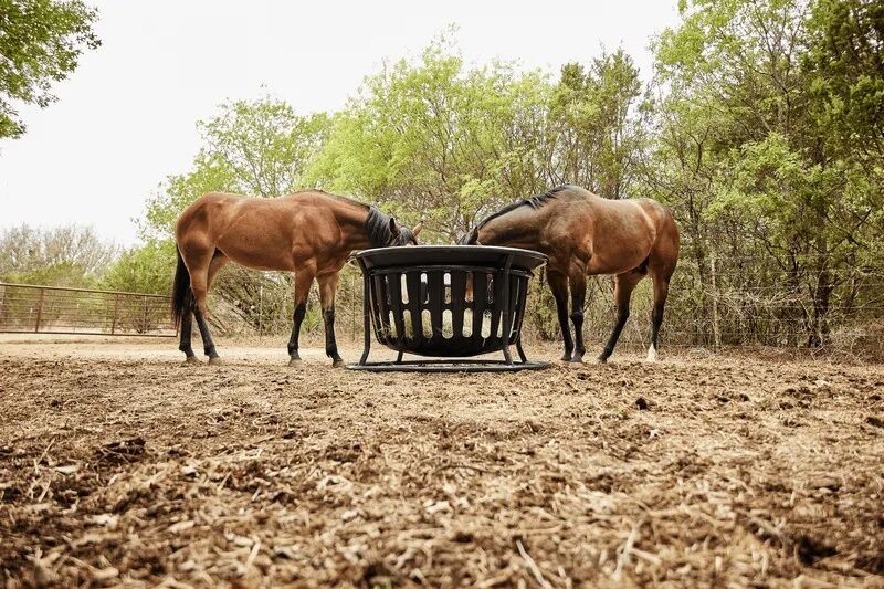 Tarter Equine Hay Basket
