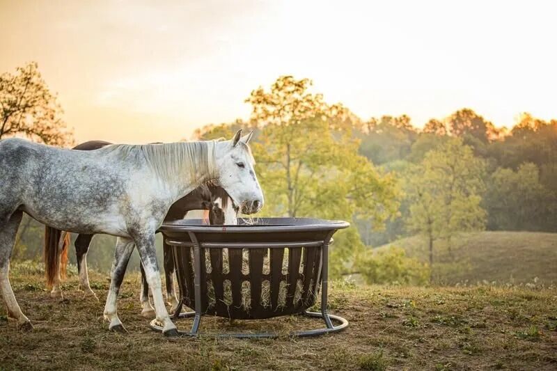 Tarter Equine Hay Basket