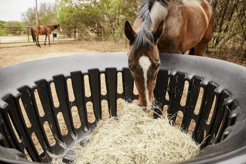 Tarter Equine Hay Basket