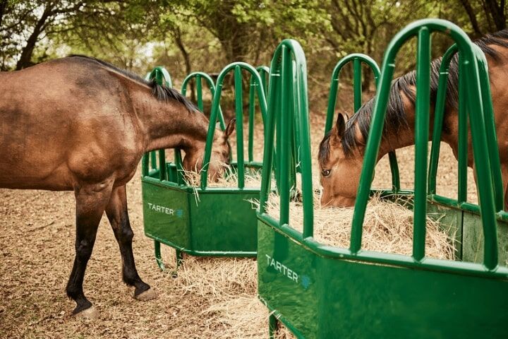 Tarter 4-Piece Equine Flex Hay Feeder