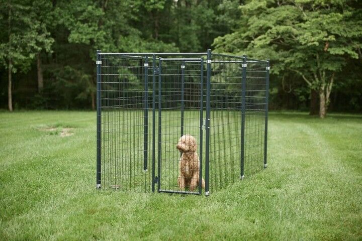 Tarter Dog Kennel, 5 x 10 ft.