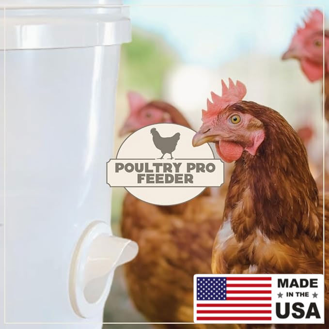 Riverbend Resources Poultry Pro Feeder, 3-Pk