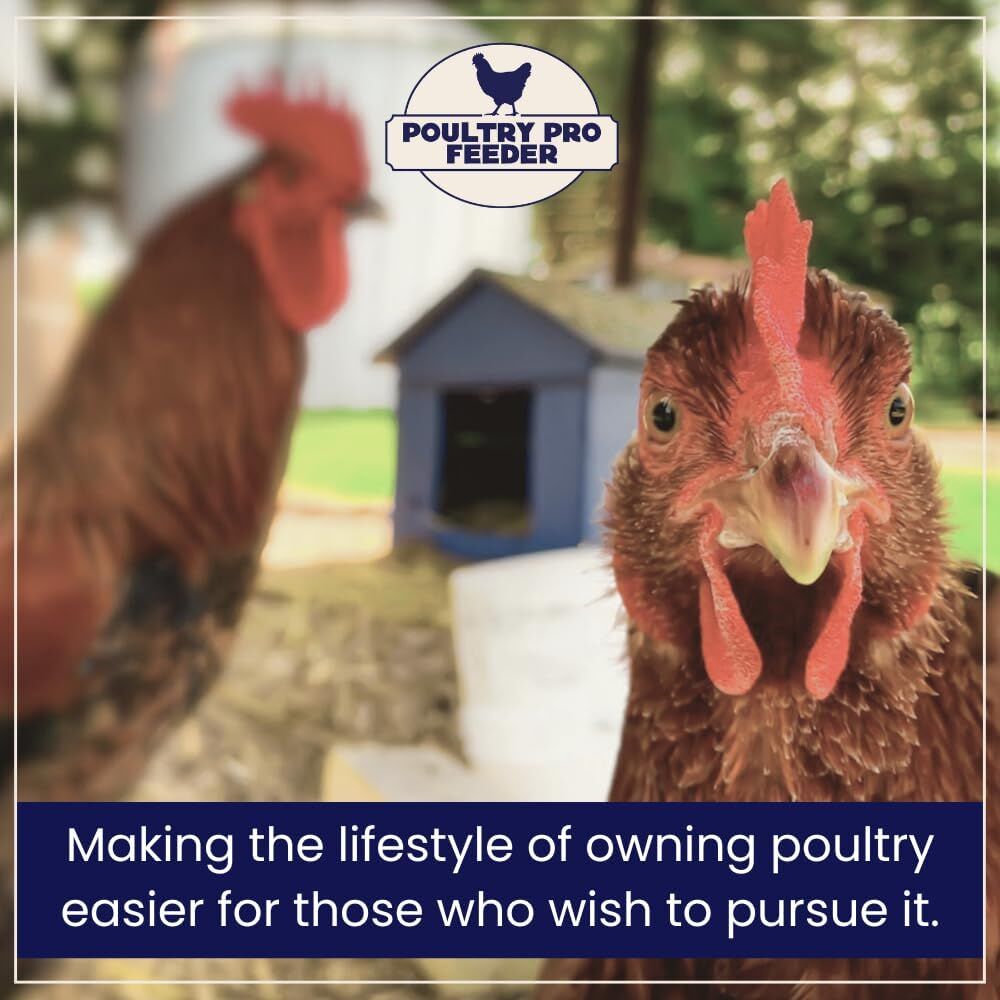 Riverbend Resources Poultry Pro Feeder, 3-Pk