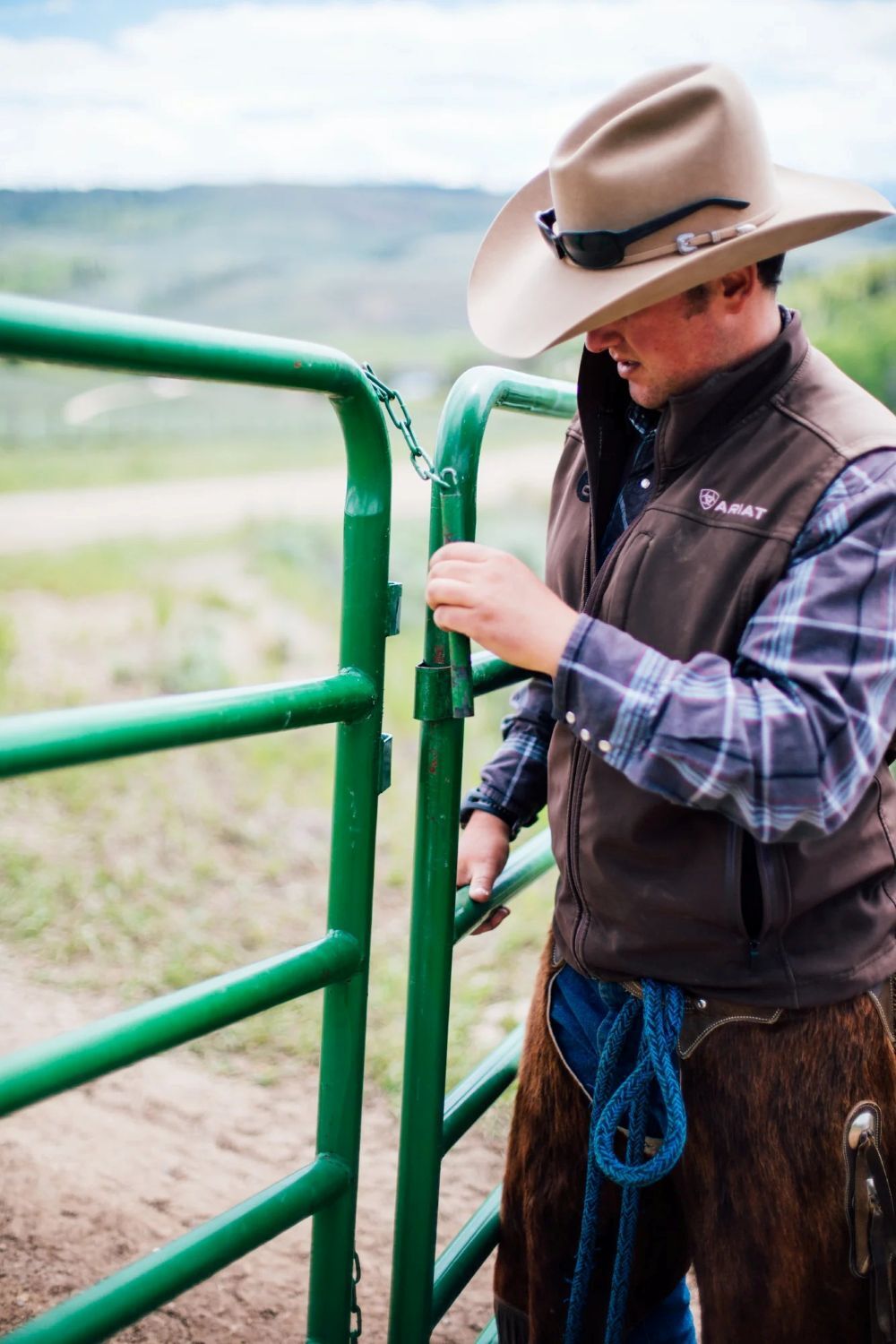 Hutchison Inc. WP660 Green Western Horse Corral Panel, 10-Ft x 60-In