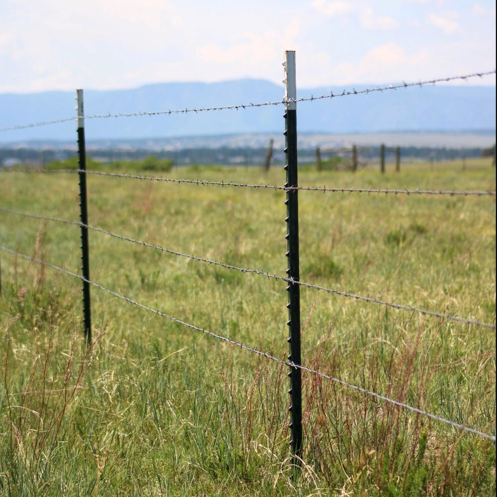 Hutchison Inc. Green with White Top T-Post, 5-1/2-Ft