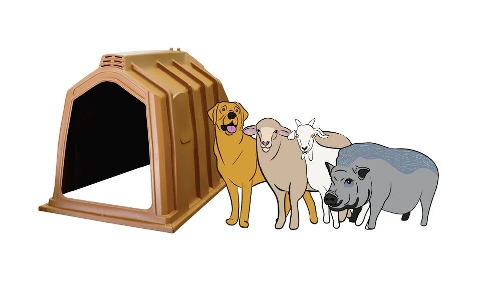 Hampel's Medium Happy Hut