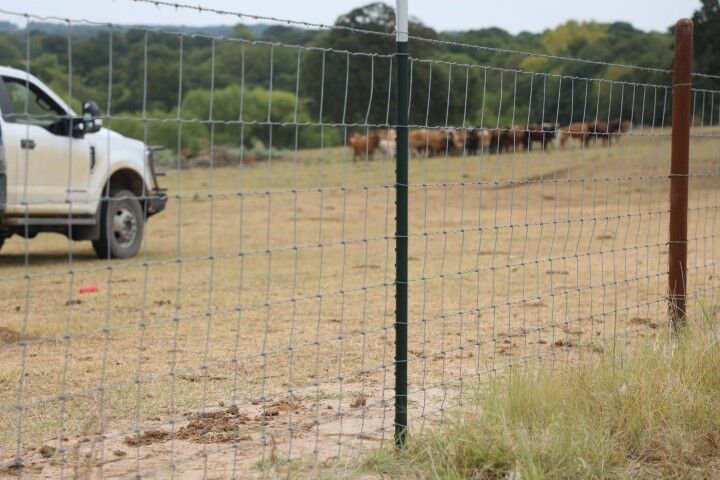 OK Brand Premium Hinge-Joint Field Fence, 32-In X 330-Ft