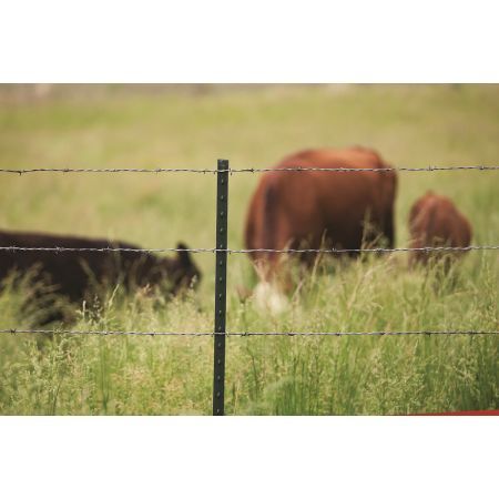 Nucor 1.25# Lightweight T-Post, 6.5-Ft