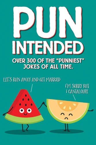 Willow Creek Press Pun Intended Book