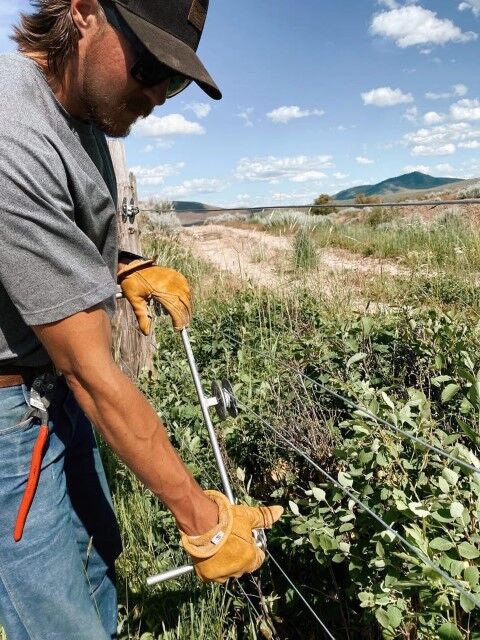 Golden Stag Gloves Men's Iron Fencer Cowhide Leather Work Glove in Gold