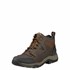 Ariat Men's Terrain Shoe Boots in Distressed Brown