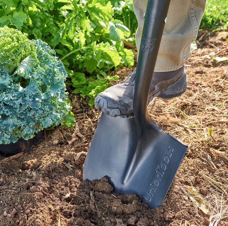 Union Tools Long Wood Handle Digging Shovel, 56-In