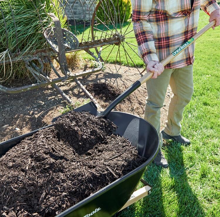 Union Tools Long Wood Handle Transfer Shovel, 56-In