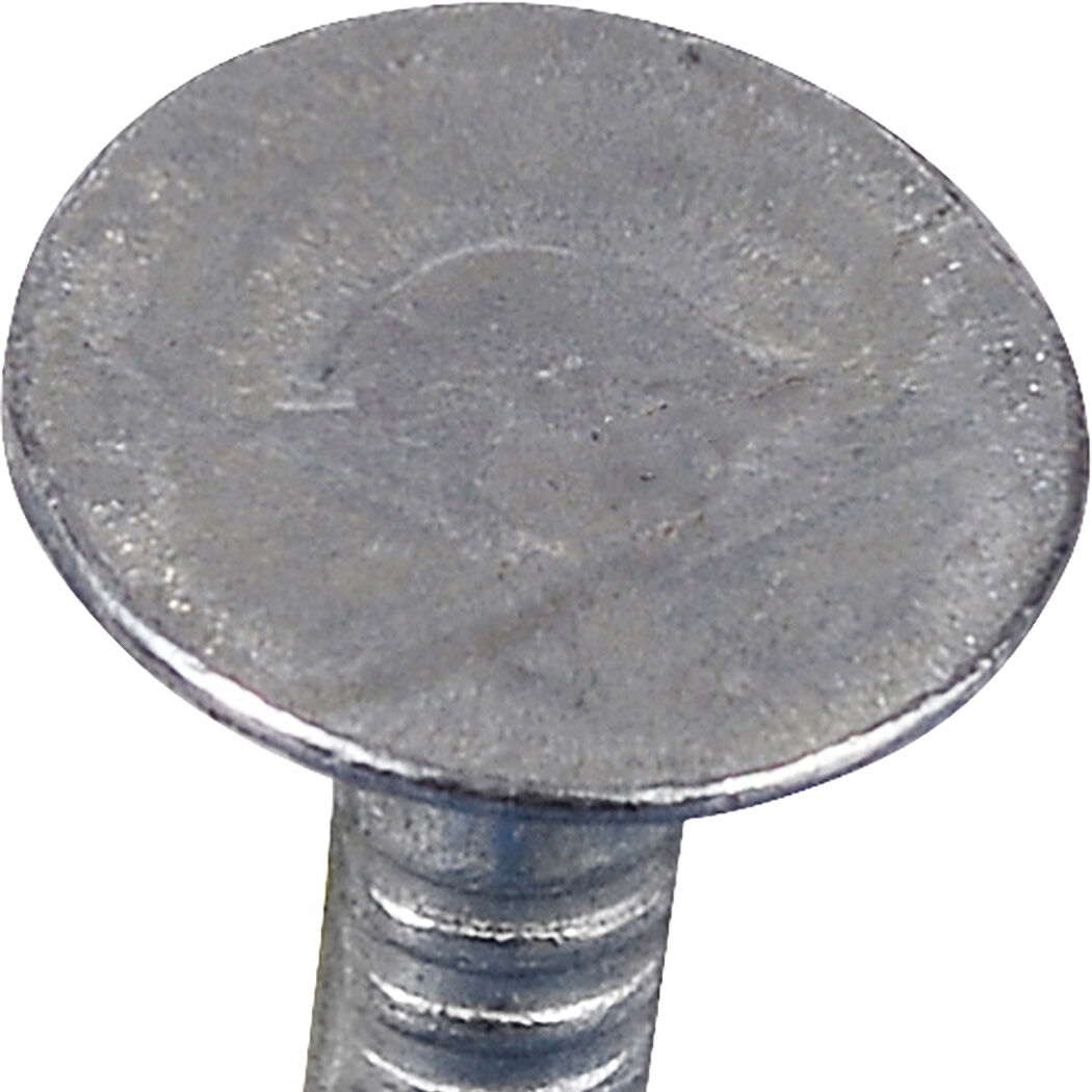 Hillman Fas-N-Tite Electro-Galvanized Roofing Nails, 1 1/2-In, 5-Lb