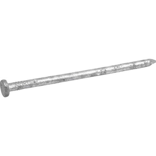 Hillman Galvanized Common Spike Nails 3/8 X 10 In, 5 lb