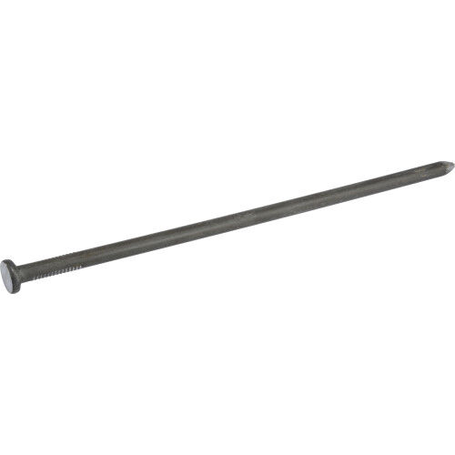 Hillman Bright Common Spike Nails 3/8 X 12 In, 5 lb