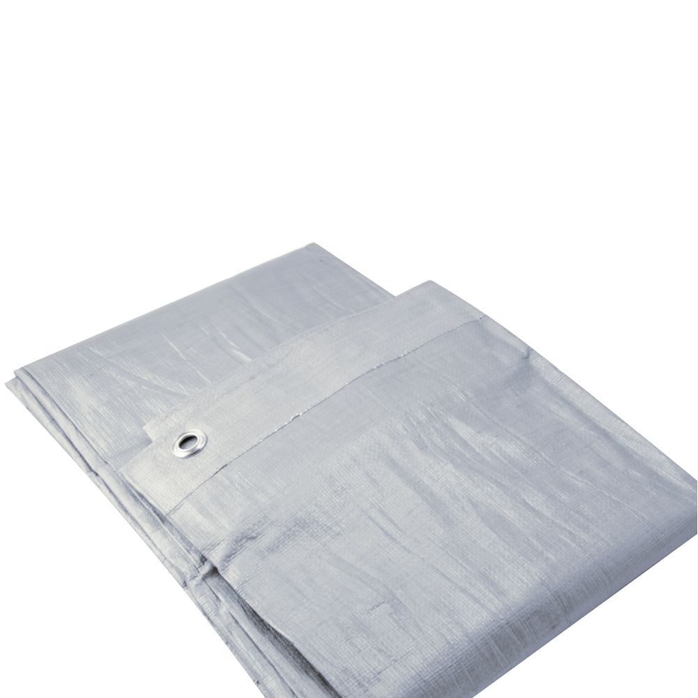 Erickson Heavy Grade Silver Poly Tarp, 40-Ft x 60-Ft