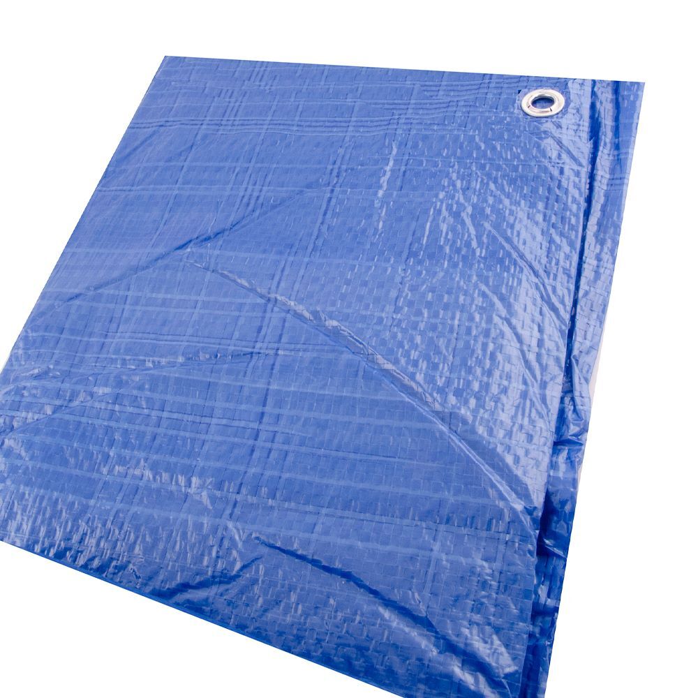 Erickson Economy Grade Blue Poly Tarp, 40-Ft x 60-Ft