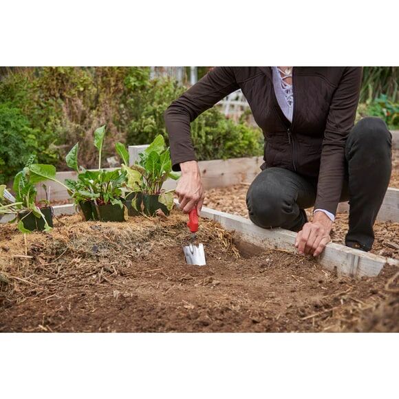 Corona Premium Stainless Stell ComfortGel Trowel