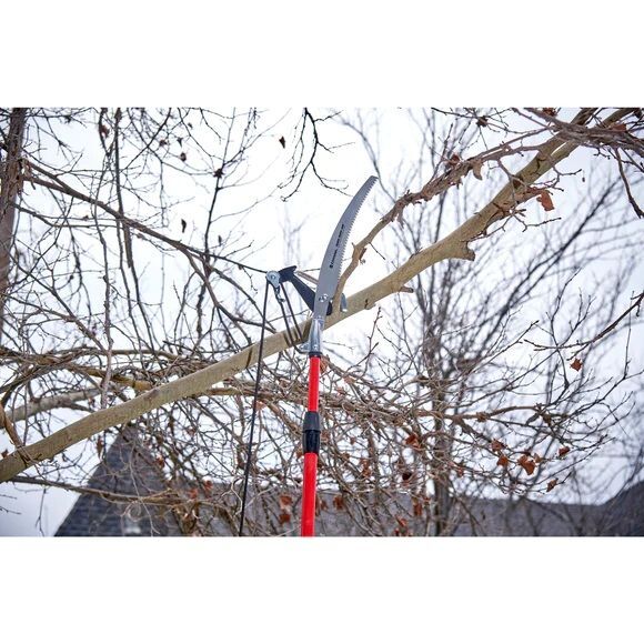 Corona Dual Compound-Action Tree Pruner with RazorTooth Saw Blade, 12-Ft