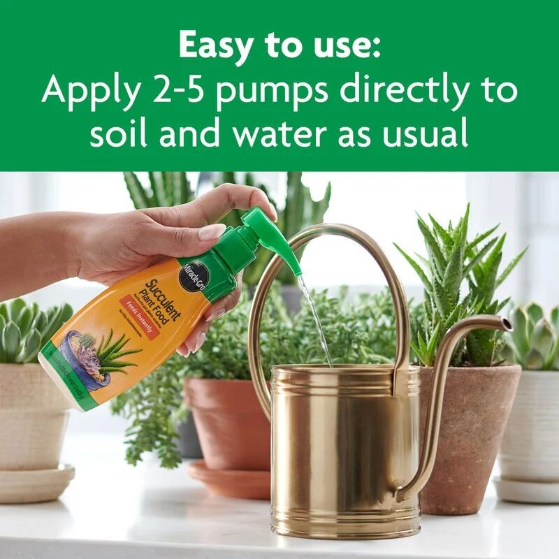 Miracle-Gro Succulent Plant Food, 8-Oz