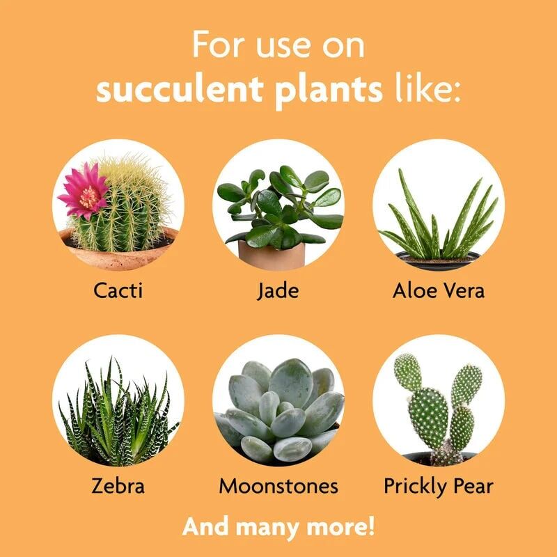 Miracle-Gro Succulent Plant Food, 8-Oz