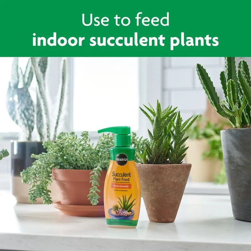 Miracle-Gro Succulent Plant Food, 8-Oz
