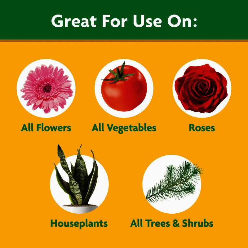 Miracle-Gro Plant Food, Water-Soluble, 24-8-16 Formula - 1 lb