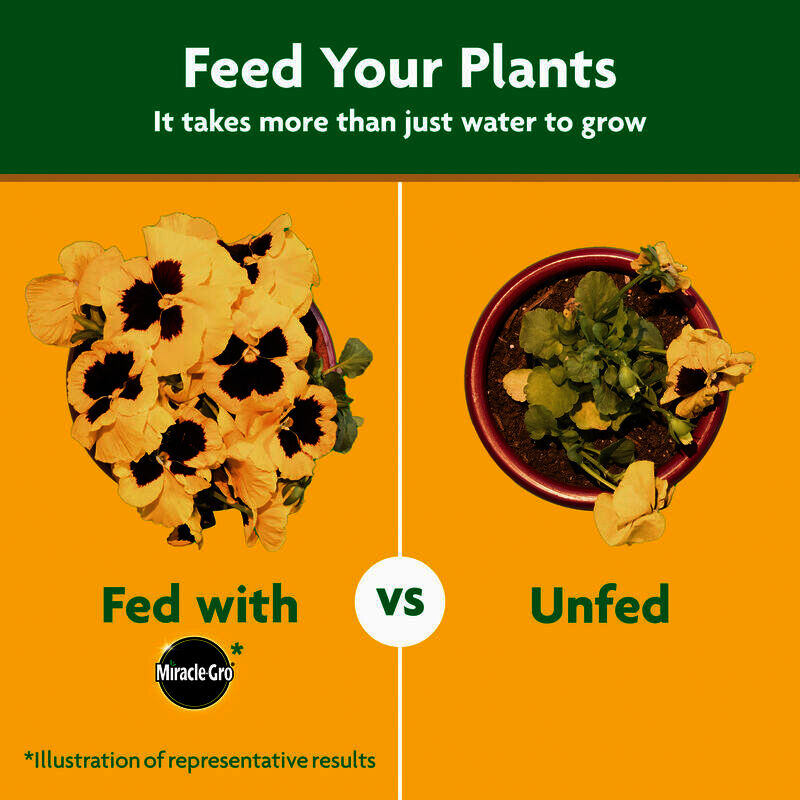 Miracle-Gro Plant Food, Water-Soluble, 24-8-16 Formula - 1 lb