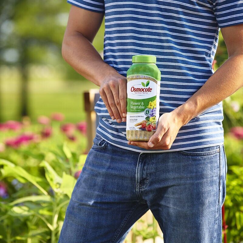 Osmocote Smart-Release Flower & Vegetable Plant Food, 2-Lb