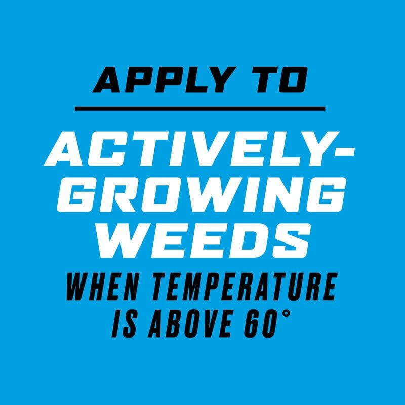 Ortho GroundClear Super Weed & Grass Killer, 1-Gal