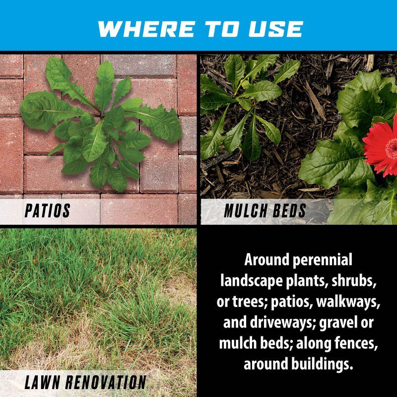 Ortho GroundClear Weed & Grass Killer Super Concentrate, 32-Oz