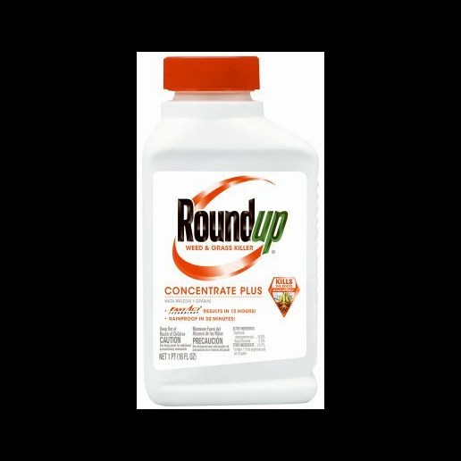 Roundup Weed & Grass Killer Concentrate - 1 pt
