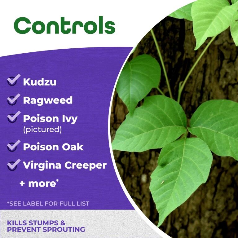 BONIDE Stump & Vine Killer Concentrate, 8-Oz