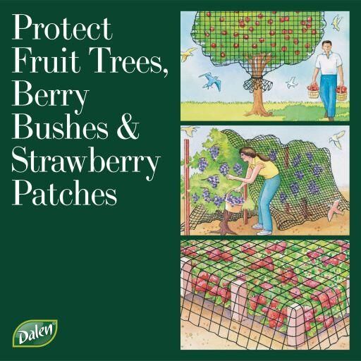 Dalen Bird-X Protective Netting For Fruit Trees & Shrubs, 5/8-In x 14-Ft x 14-Ft