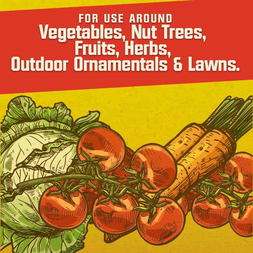 Corry's Slug & Snail Killer Ready-To-Use Pellets, 3.5-Lb