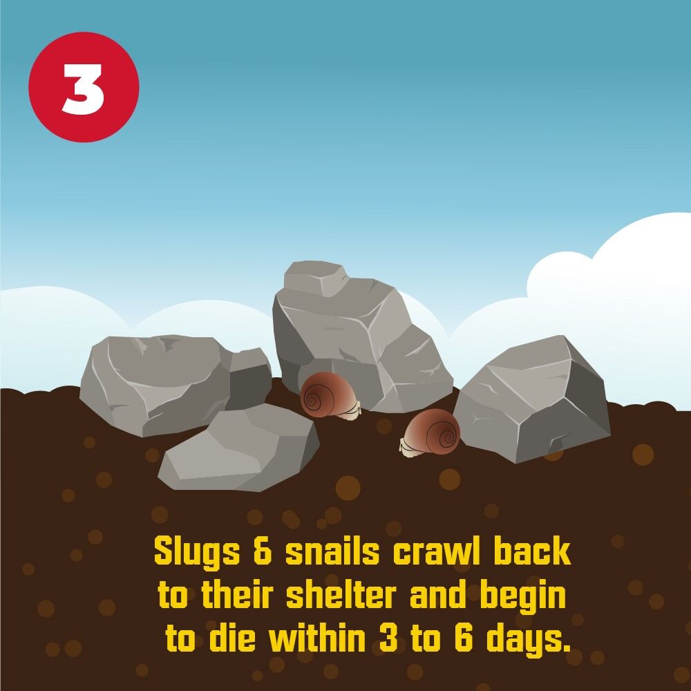 Corry's Slug & Snail Killer Ready-To-Use Pellets, 3.5-Lb