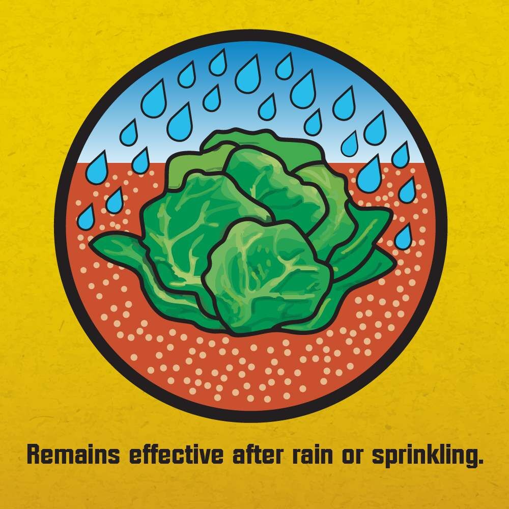 Corry's Slug & Snail Killer Ready-To-Use Pellets, 3.5-Lb